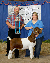 Winners